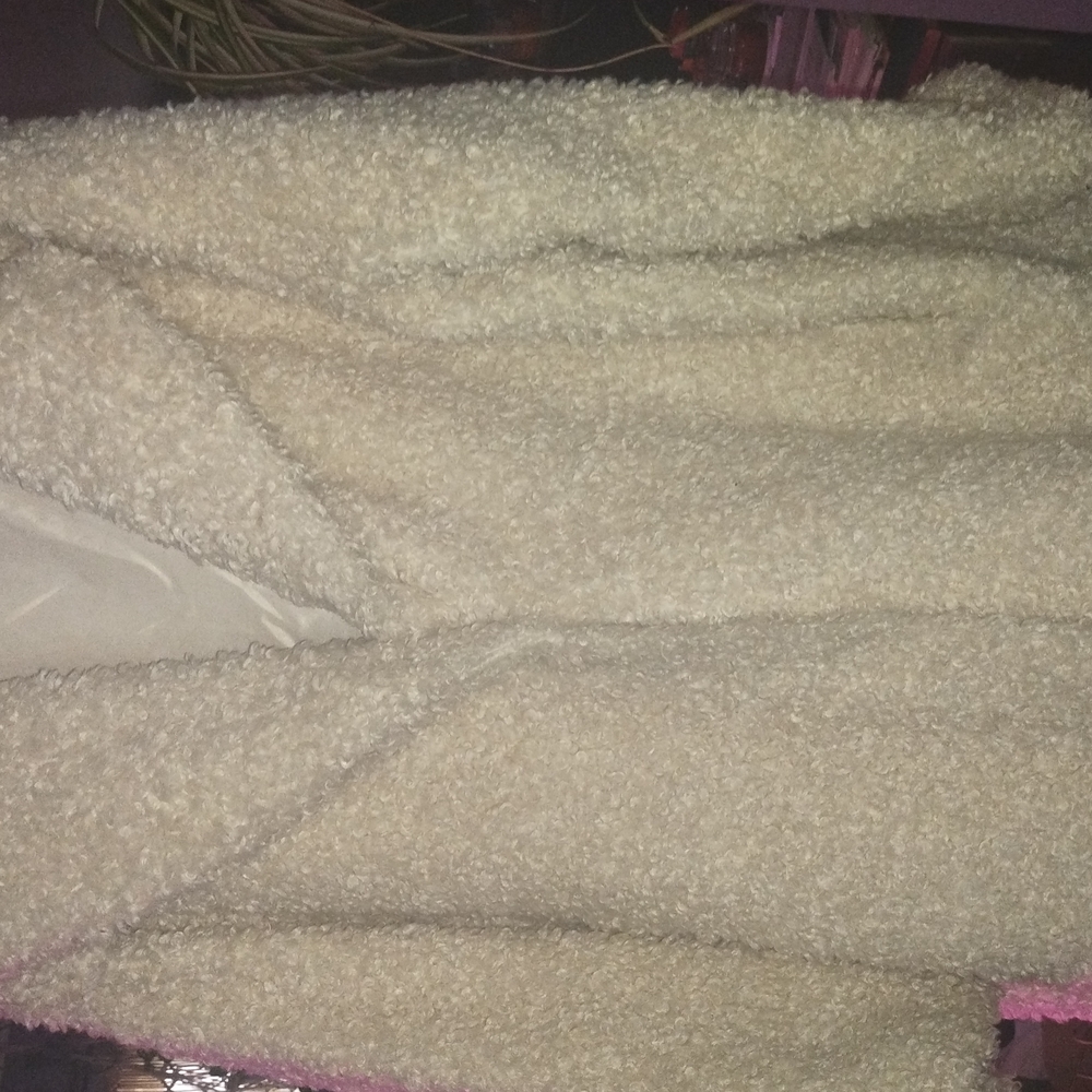 Cozy Cream Teddy Coat